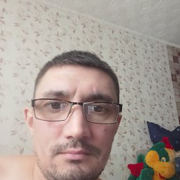 , 36, 