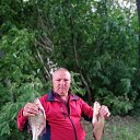 ���� ������, ������, 45 ��� - ��������� 8 ������ 2023 � ������ ���� ����������