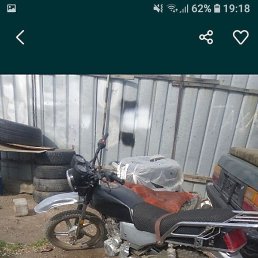 ����, ������, 37 ���