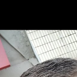 ������, �����, 43 ����