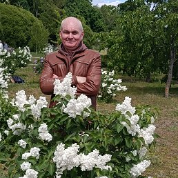 , 60, 