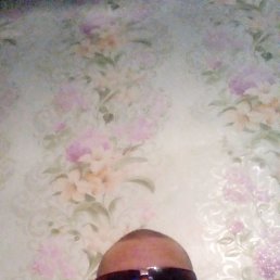 , 35 , 