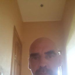 , 43 , 