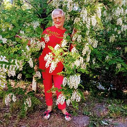 ���� �������, �����, 60 ��� - ��������� 27 ���� 2024