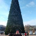 ���� Vladimir, ������, 63 ���� - ��������� 10 ������� 2025 � ������ ���� ����������