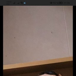David, ������, 26 ���