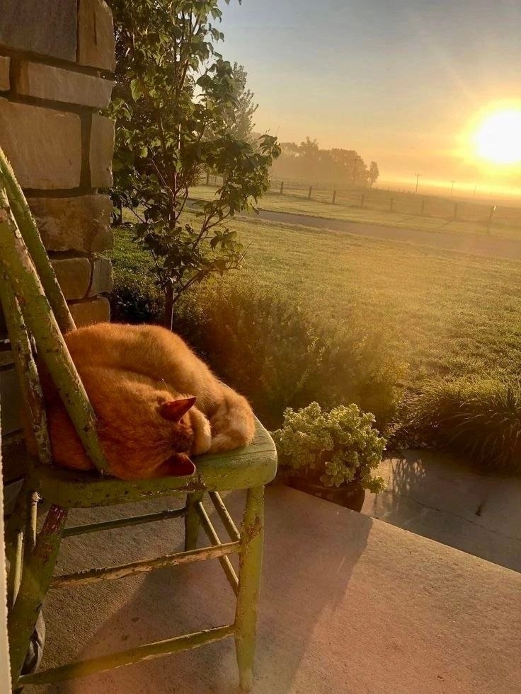 Так тепло на душе от этого фото