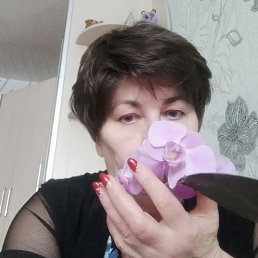 ���� ������, ������, 66 ��� - ��������� 10 ������� 2026