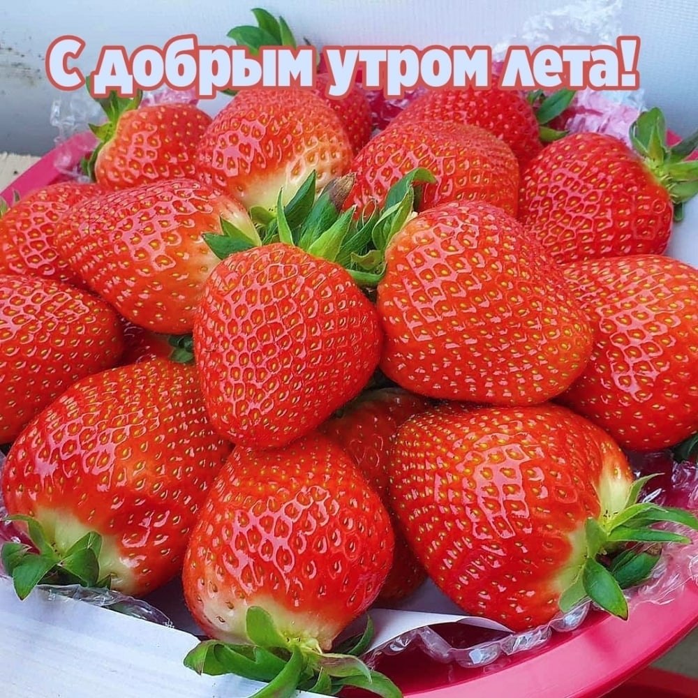   ,    . - 6  2025  23:01