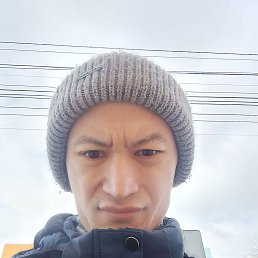  , 41, 