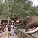 ���� ����, ������, 59 ��� - ��������� 12 ������ 2024 � ������ ���� ����������