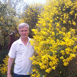 ���� ������, �������, 58 ��� - ��������� 2 ������� 2026