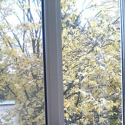 ����, ���������, 57 ���