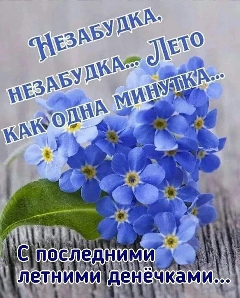    .  ?  ,   ,  ...