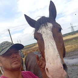 �������� �������, 40 ���, ����