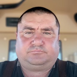 ������� ��������, ���������, 46 ���