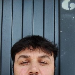 , 44, 