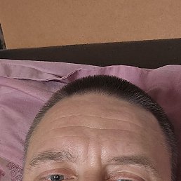 , 41 , 
