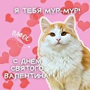 ���� �����, �����, 50 ��� - ��������� 11 ����� 2025 � ������ ���� ����������