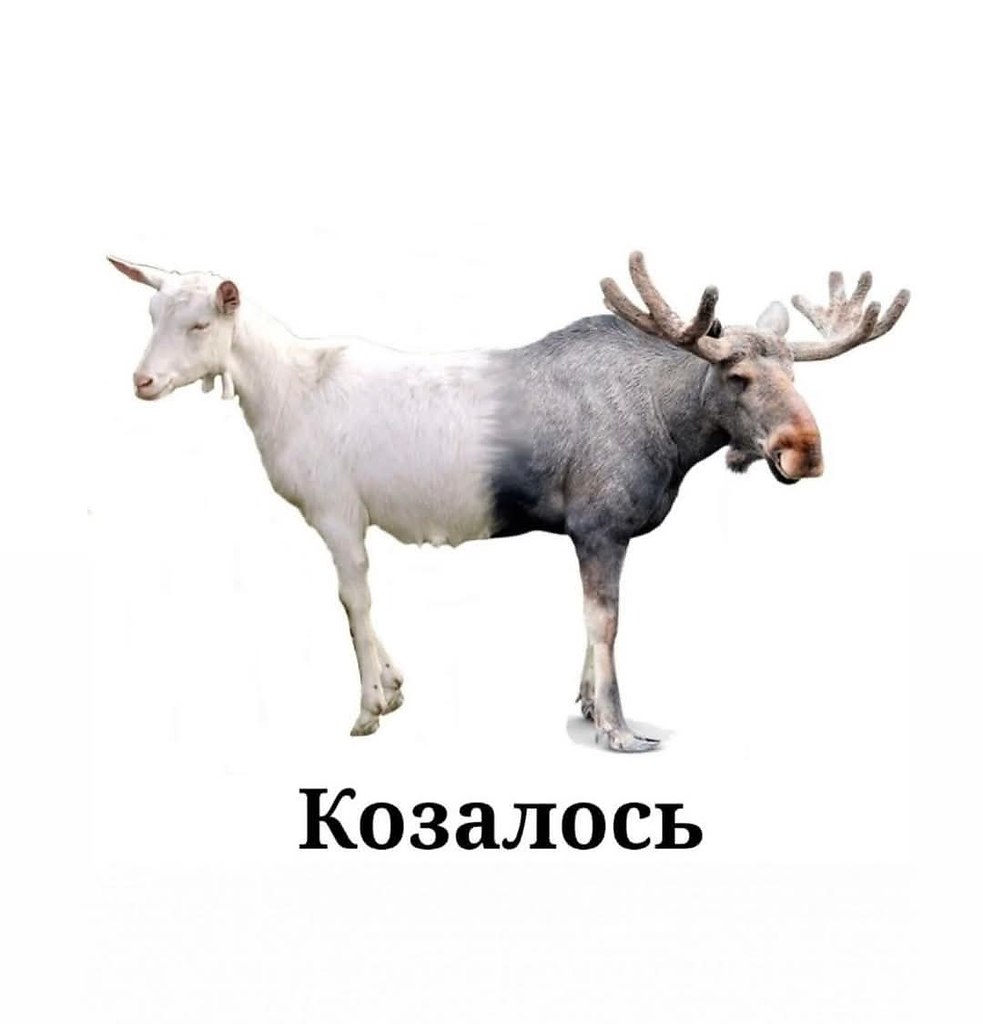 :)