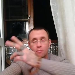 ����, 46 ���, �������