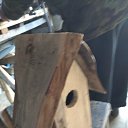 ���� ���� � �������� �� ���������� ..., ����� - ��������� 13 ������ 2025 � ������ ���� ����������