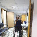 ���� �����, ������, 43 ���� - ��������� 29 ������ 2023 � ������ ���� ����������