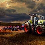 �����, 38 ���, ������ �����