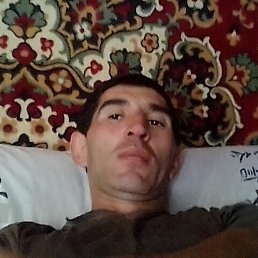 , 43, 