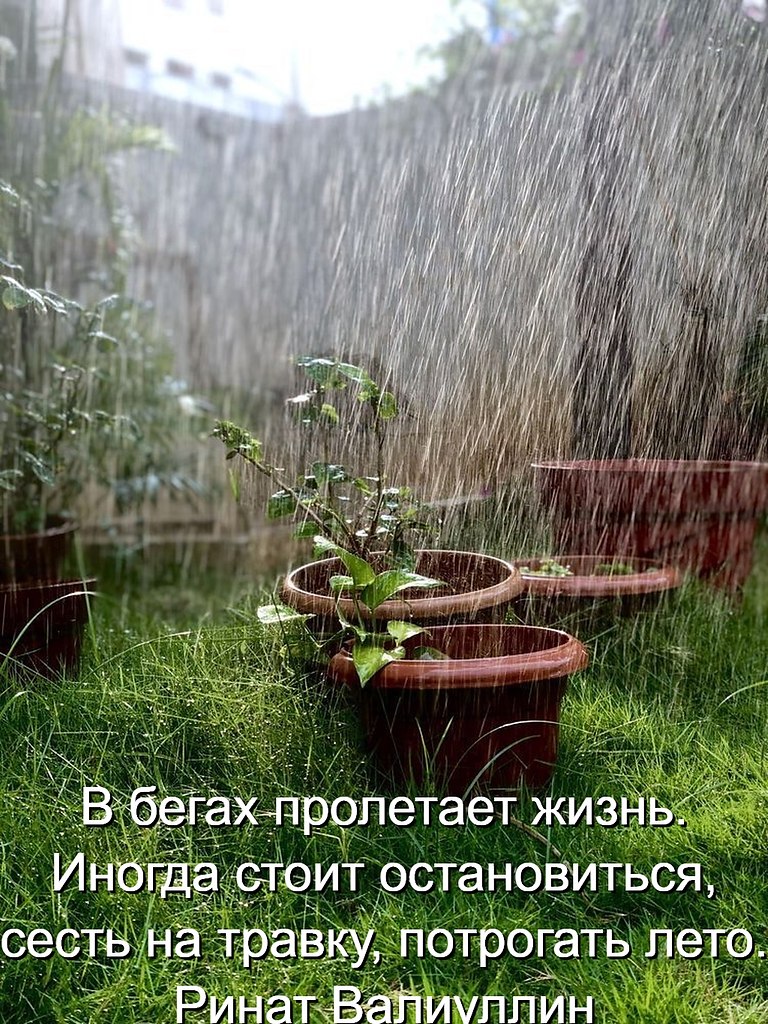 �������� ������ - 29 ���� 2026 � 13:45