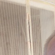 , 55 , 