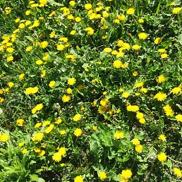 Yura, ����, 38 ���