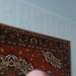 , 52, 