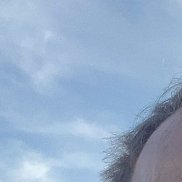 , 55 , 