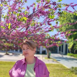 ���� Nata, �����, 60 ��� - ��������� 10 ������ 2026