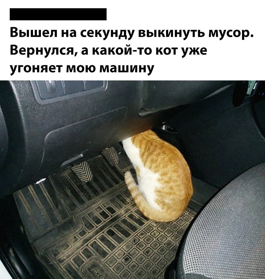    - 6  2025  20:19