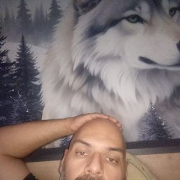 , 41, 