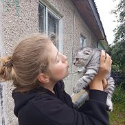 , 18 , 