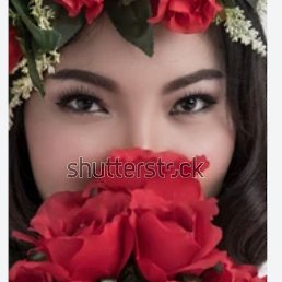 Stella Rosa, �����������, 36 ���