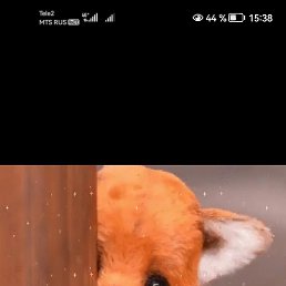 ���� �����, �������������, 51 ��� - ��������� 22 ������� 2023