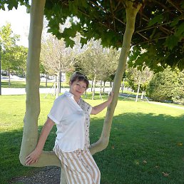 ��������� �����������, ������, 62 ����