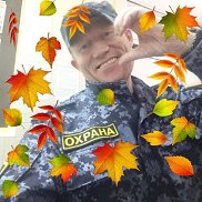 , 37 , 