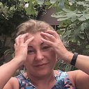 ���� ����, �����-��������� - ��������� 17 ������ 2026 � ������ ���� ����������