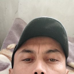 , 42, 