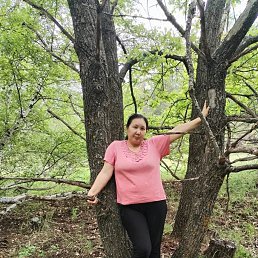���� �����, �������, 52 ���� - ��������� 20 ���� 2026