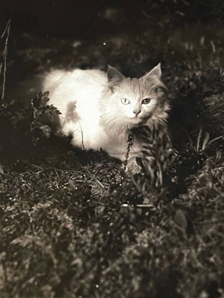    .       :  , , ... - 7