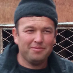 ������, ������, 41 ���