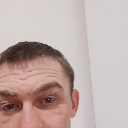 �������, 40 ���, ���������