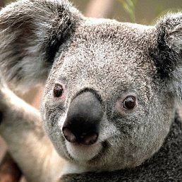 Erik, ������, 58 ���