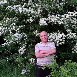 , 63, 